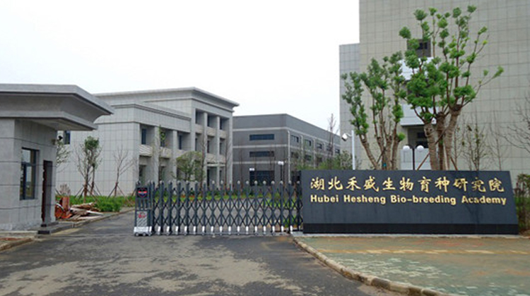 鑽ｉ珮涓庢箹鍖楃鐩涘悎浣